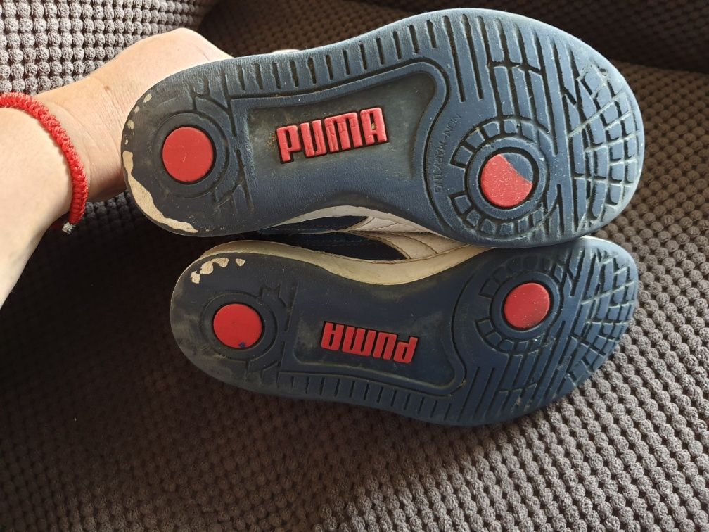 Пума, Puma 31 номер, за 10лв.