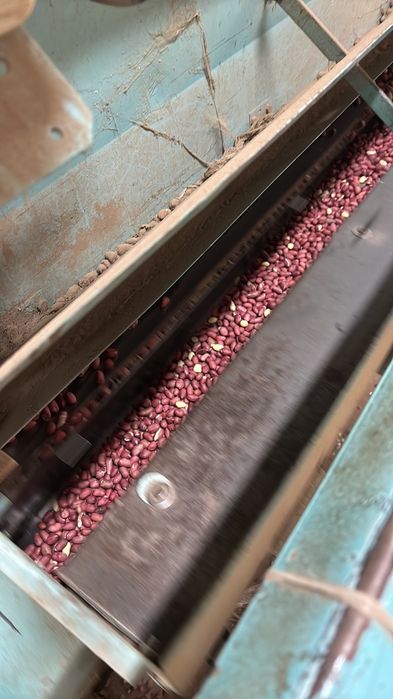 Фъстъци ядка 10 тона