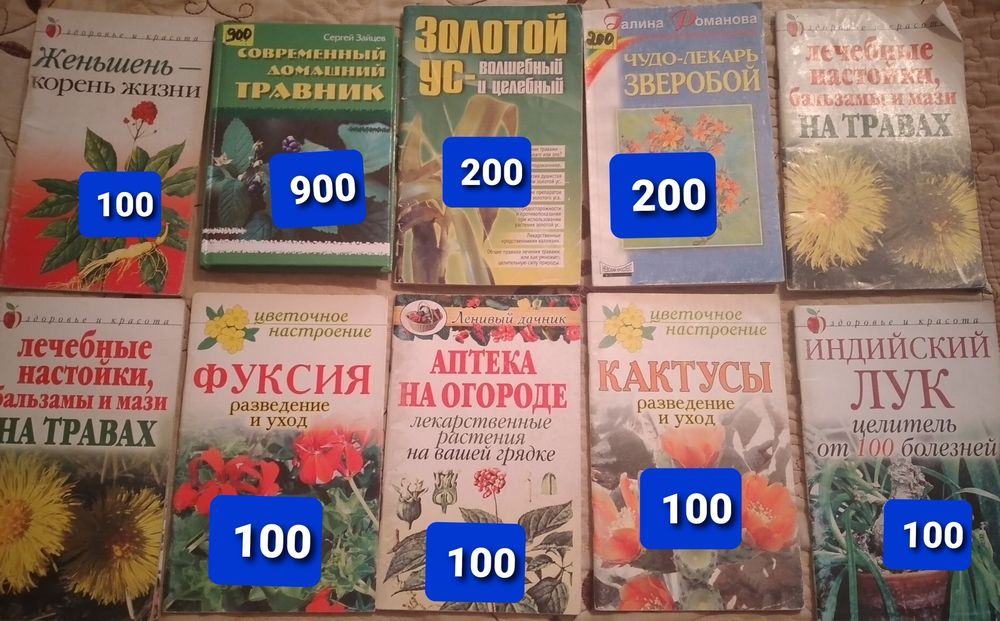 Кактус,фуксия,зверобой,травник