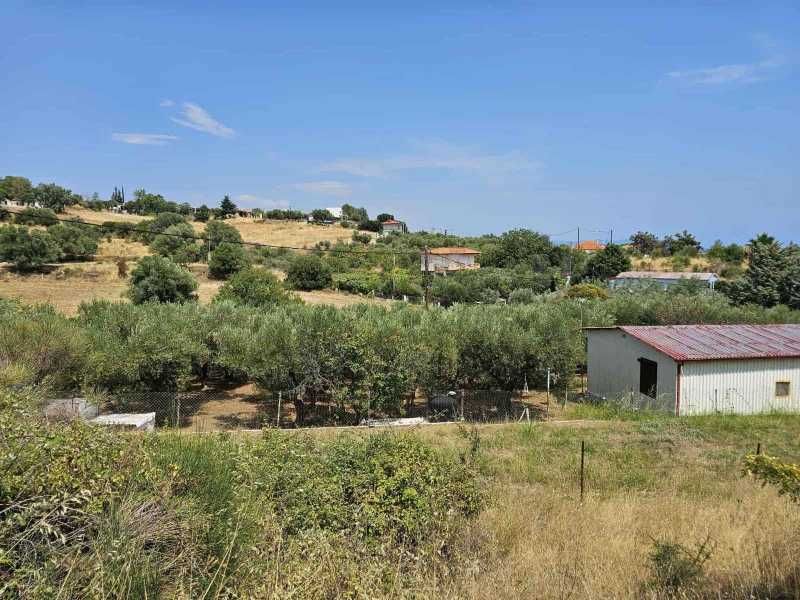 Самотоятелна къща в голям парцел