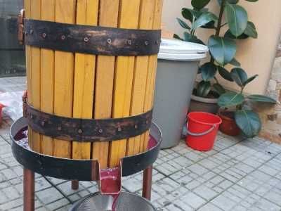 Must din struguri soi căpșunică (fragă neagră , frăguță) 100% BIO