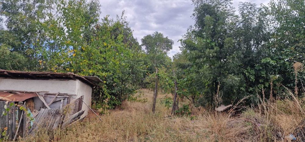 Casa + 1900 metri pătrati