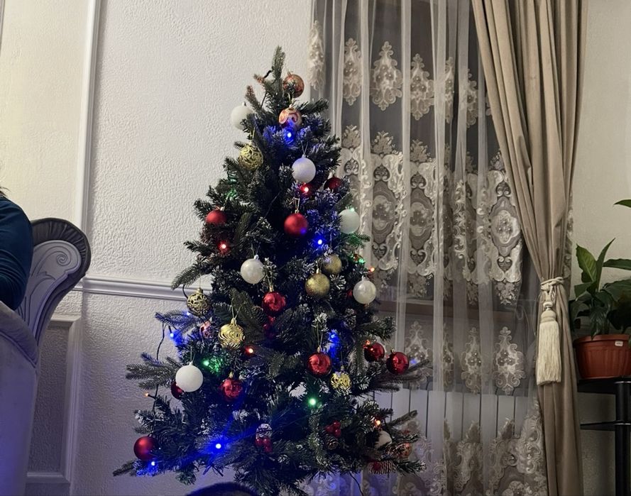 Маленькая елочка