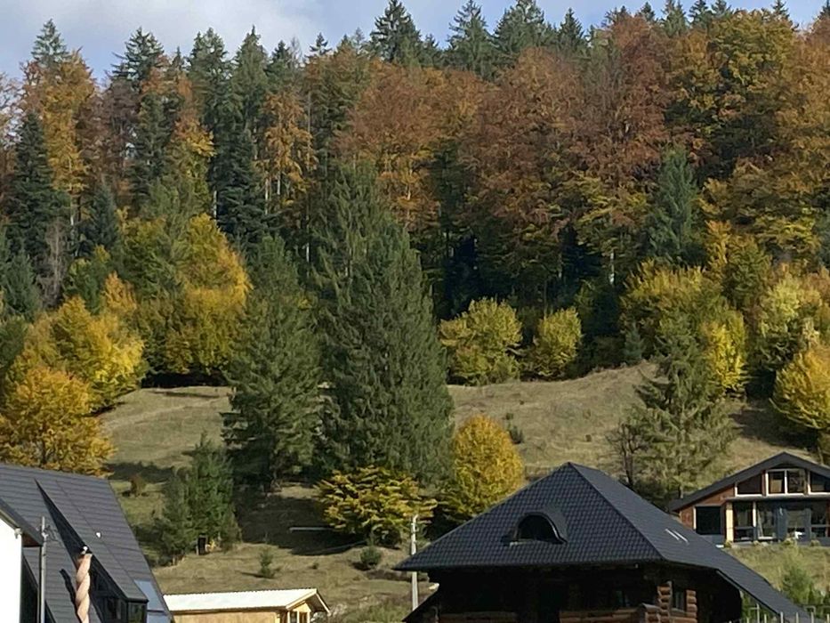 Vand teren in Voronet