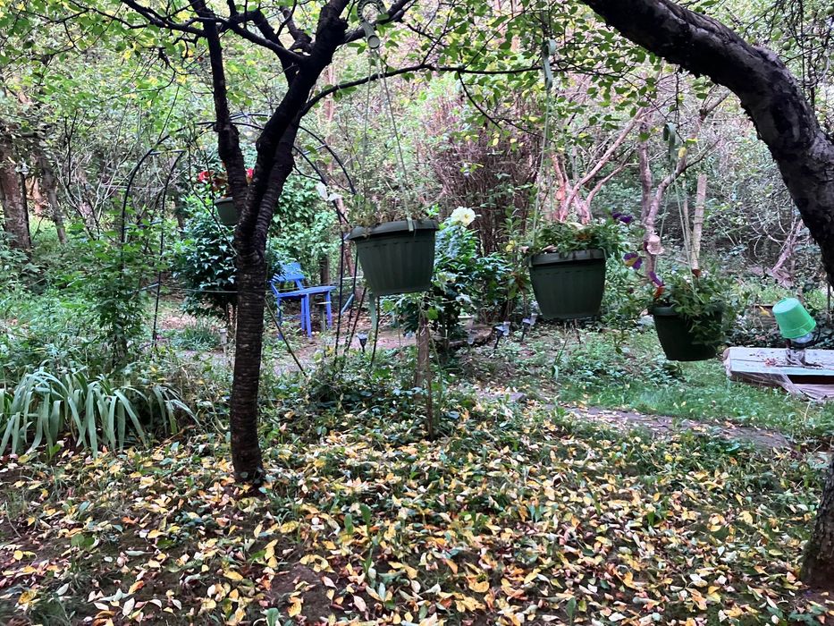 Vand teren din zona Platou Tudor