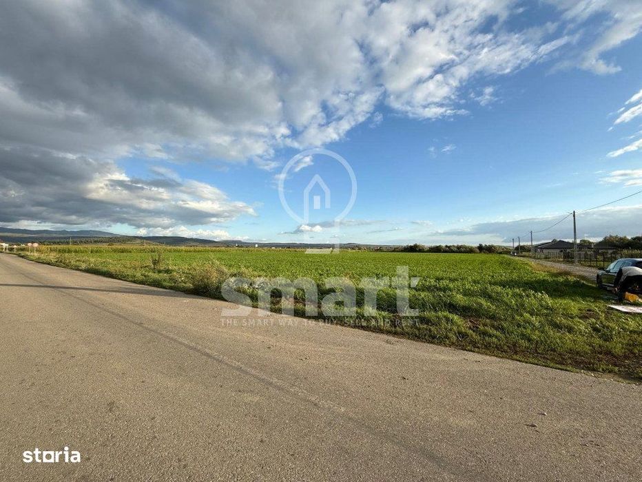 Teren Bistrita Valea Jelnei