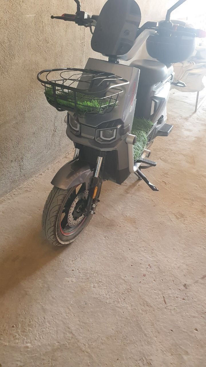 Skutir narxi 5 milon