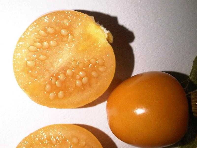 Физалис (Земна череша)