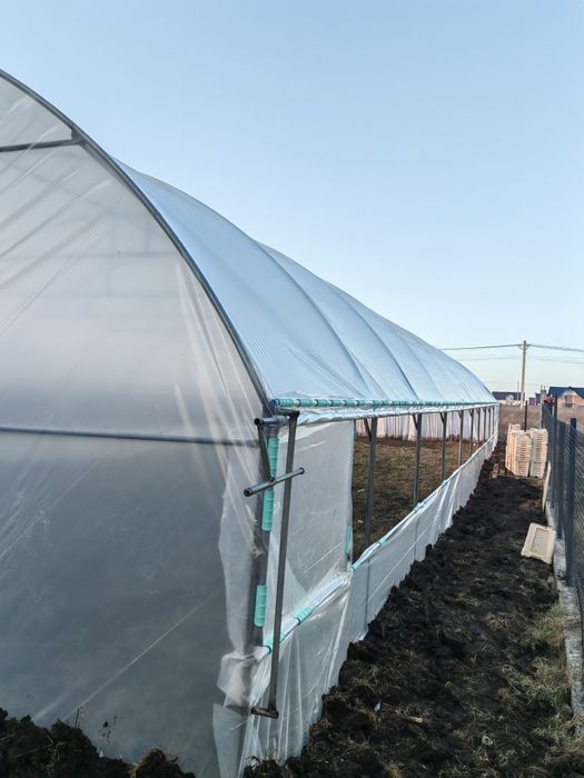 Sere solarii legume flori