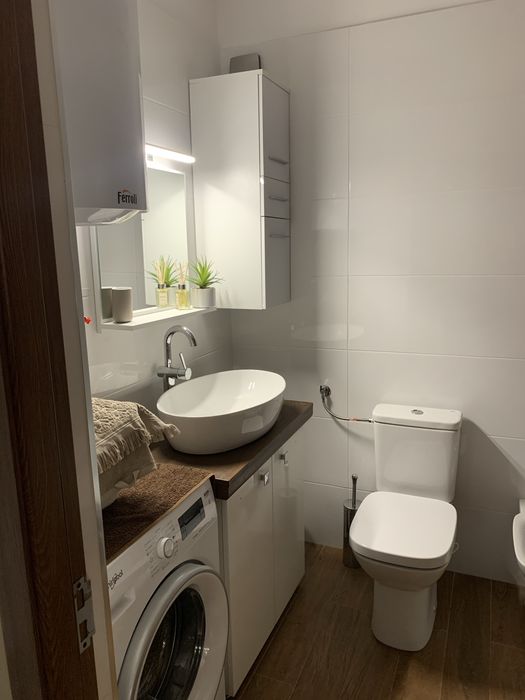 Apartament placut in Paleu