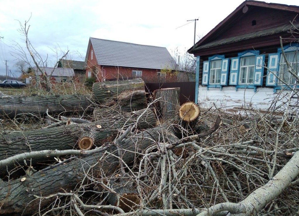 Спил деревьев! Агаш кесемиз.