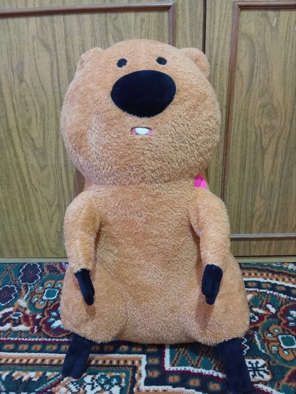 Кундуз амаки кореядан олиб келинган