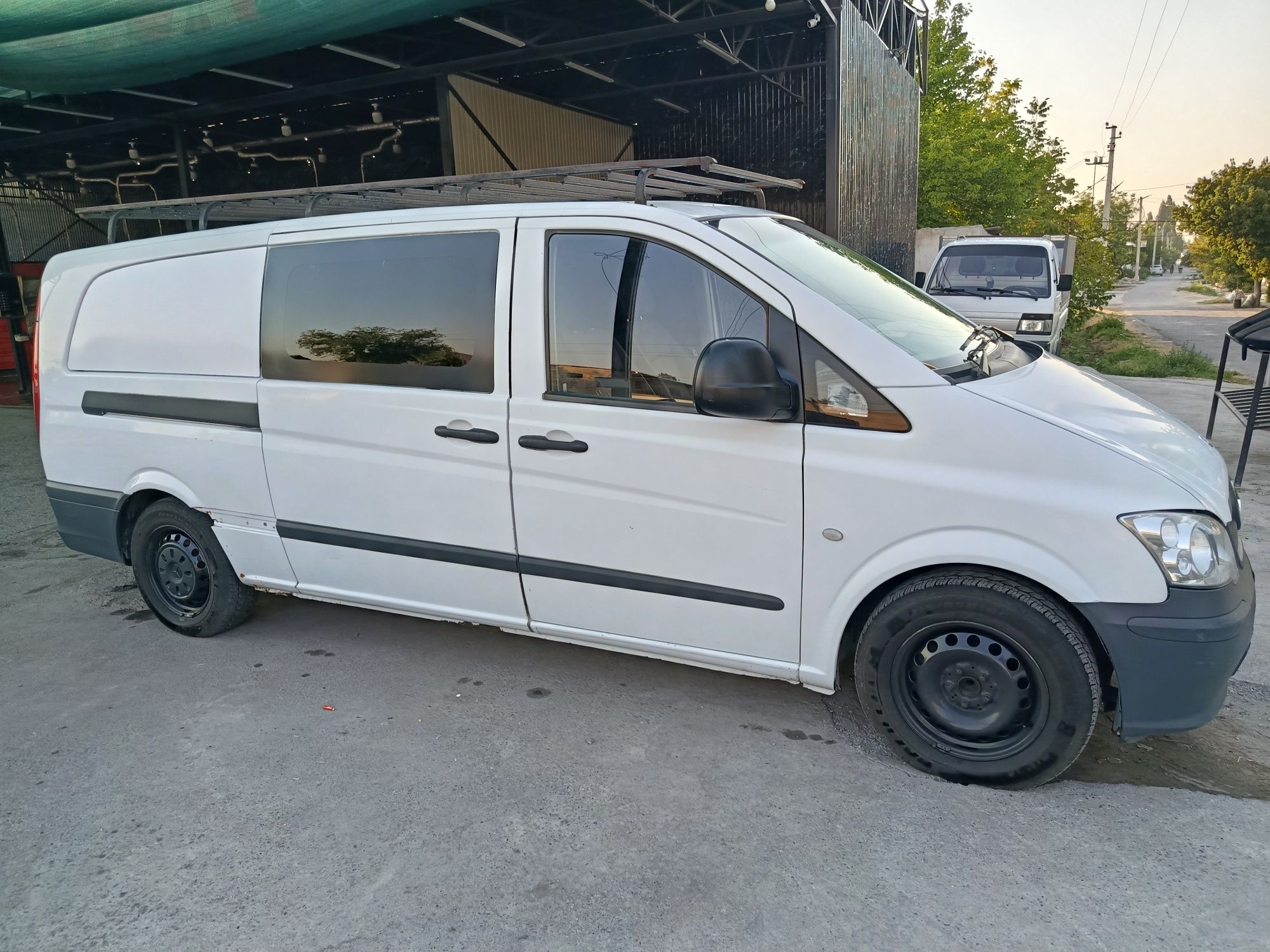 Mersides bens vito
