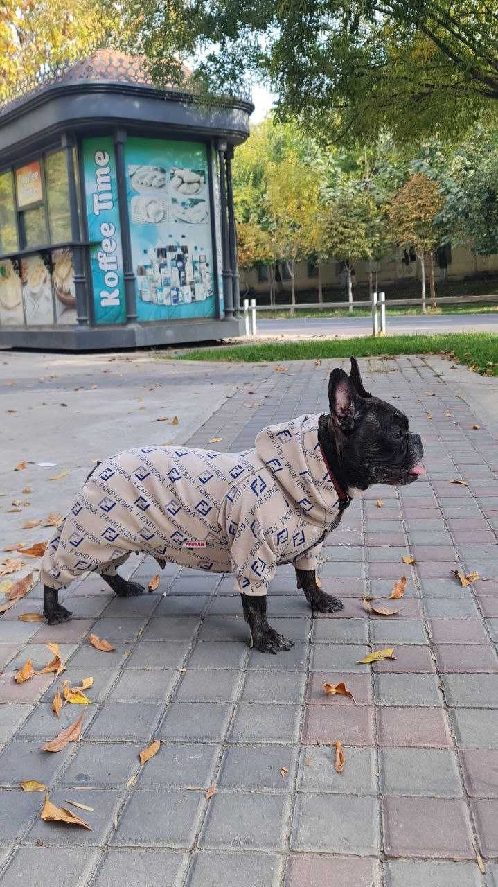 Одежда для животных от TURKAN.