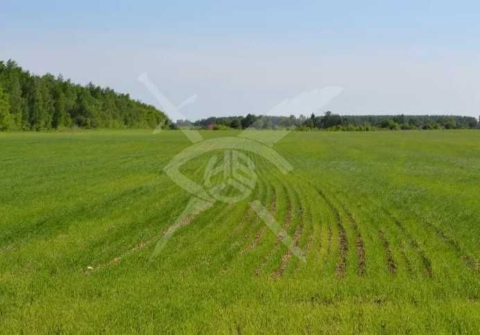 Парцел във Ветрен 95554