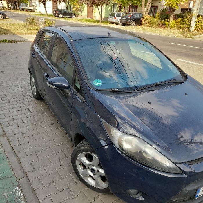 Oferta pentru dame