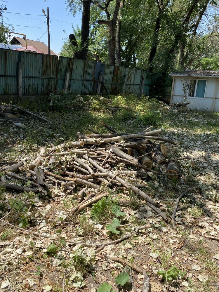 Отдам дрова бесплатно (примерно 1 газель)
