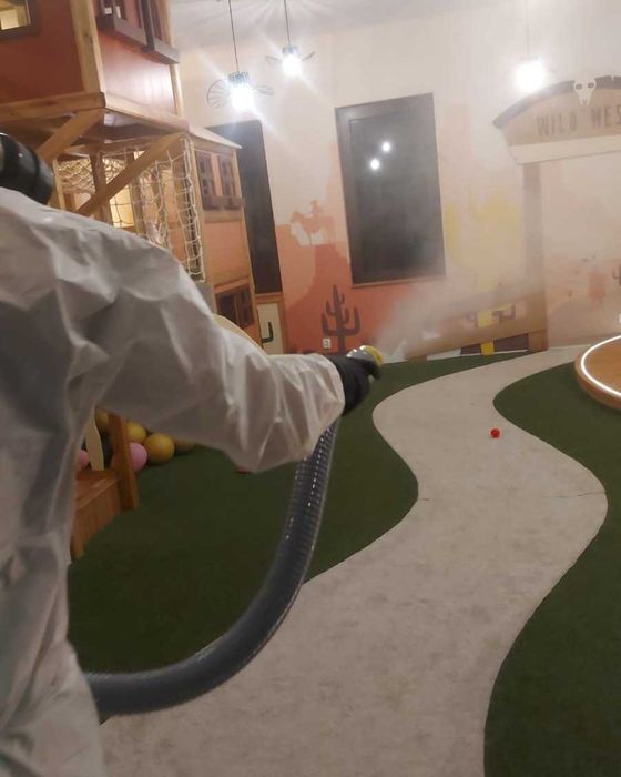 Oferim servicii Dezinsectie si Deratizare in Bucuresti si Ilfov