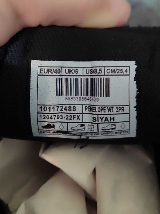 Кеды US polo assn.