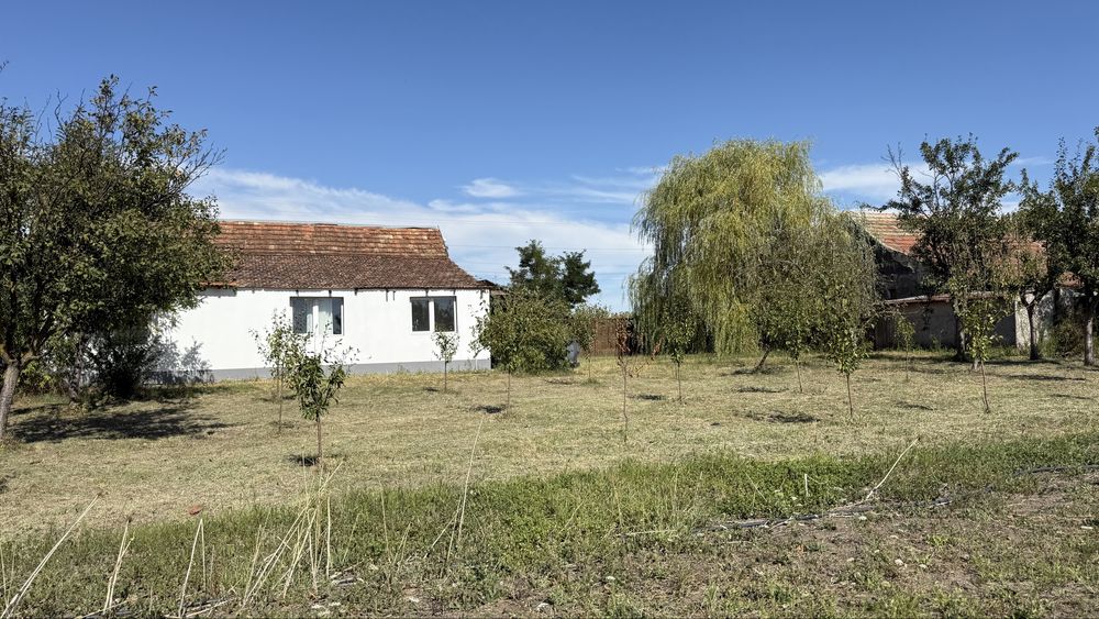 Casa Locuibilă Com Denta sat Breștea jud Timiș