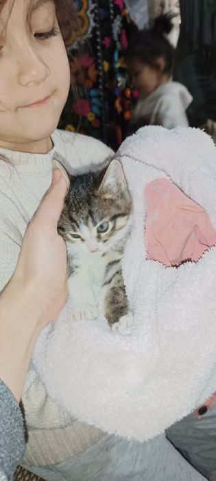 Отдам в хорошие руки