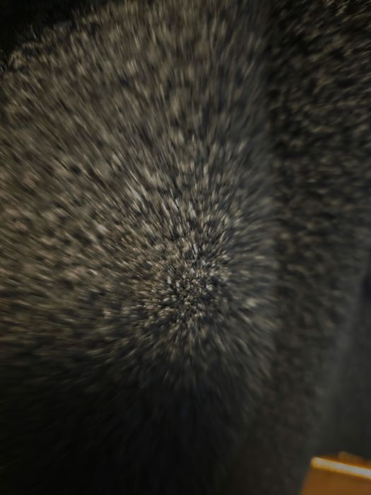 Чисто ново италиански палто страхотно