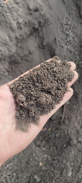 Pământ mraniță excavați defrișări nivelare terenuri șanțuri