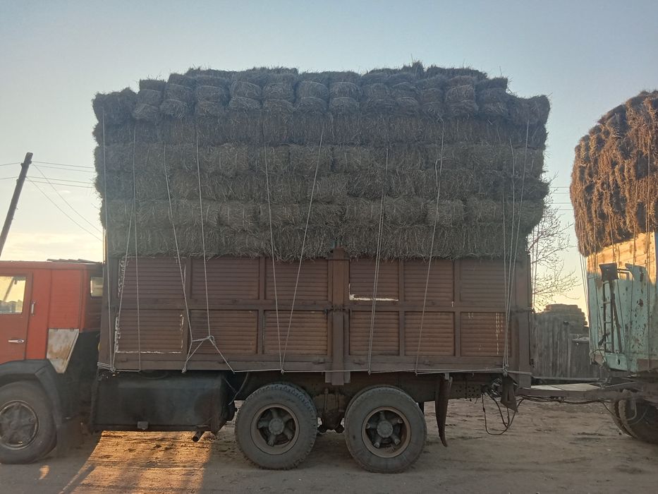 Продам сено тюковое