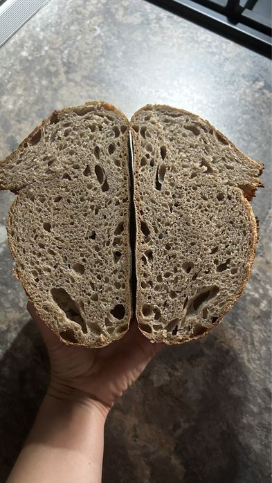 Paine de casa 100% integrala (dospita cu maia)