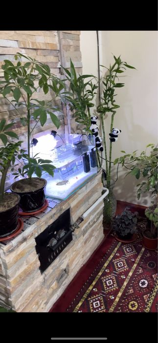 Продаю аквариум с фильтром и освещением