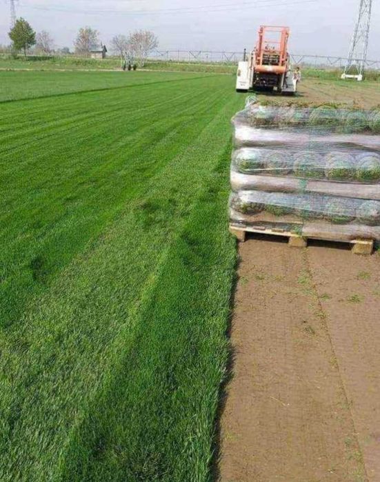 Gazon Rulouri Sisteme de Irigatie