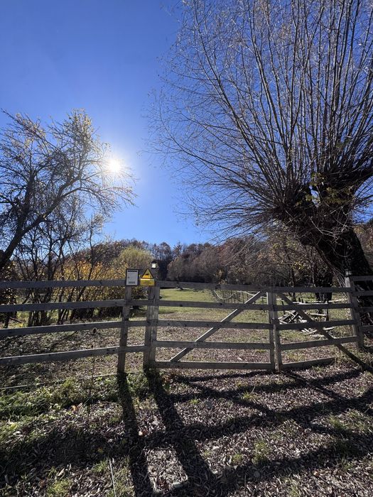 Teren intravilan Bradulet (Ungureni) , imprejmuit, langa padure