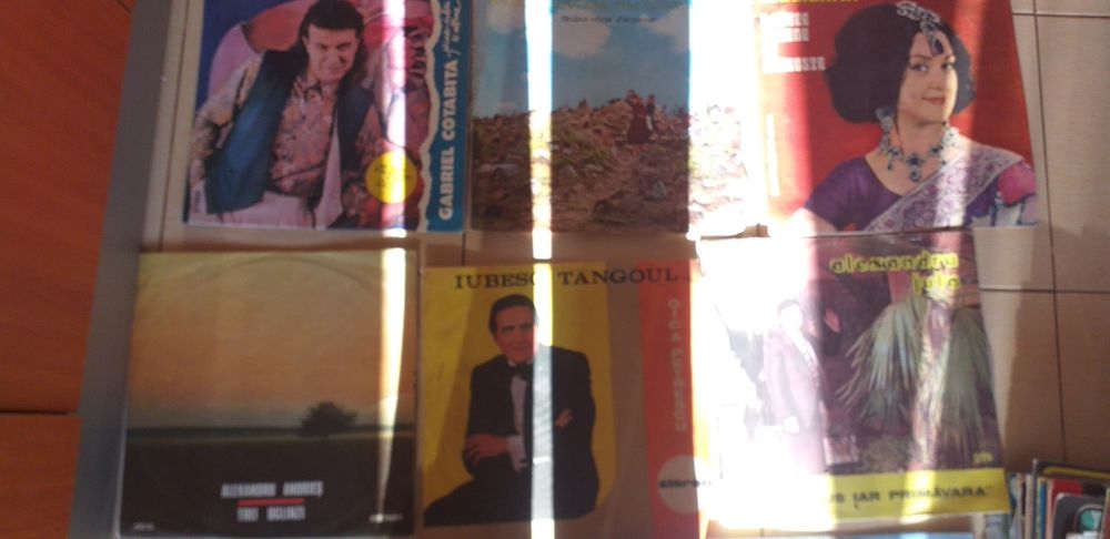Discuri de vinil