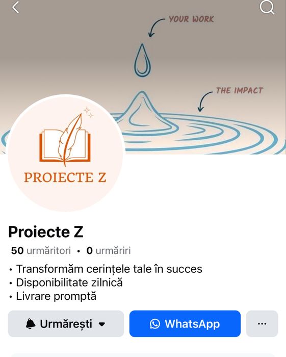 Referate/eseuri/proiecte/prezentări școlare