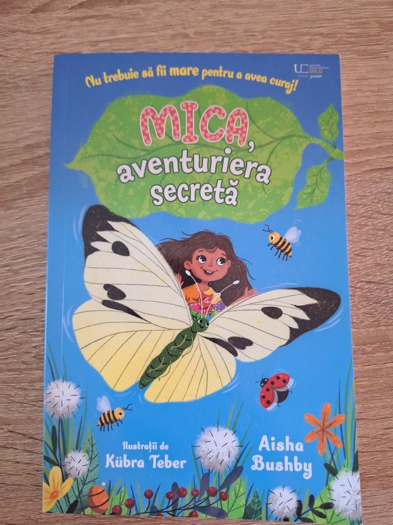 MICA aventuriera secreta