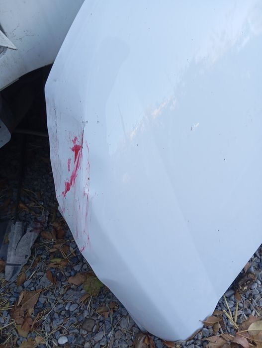 Cobalt белый оргинал капот