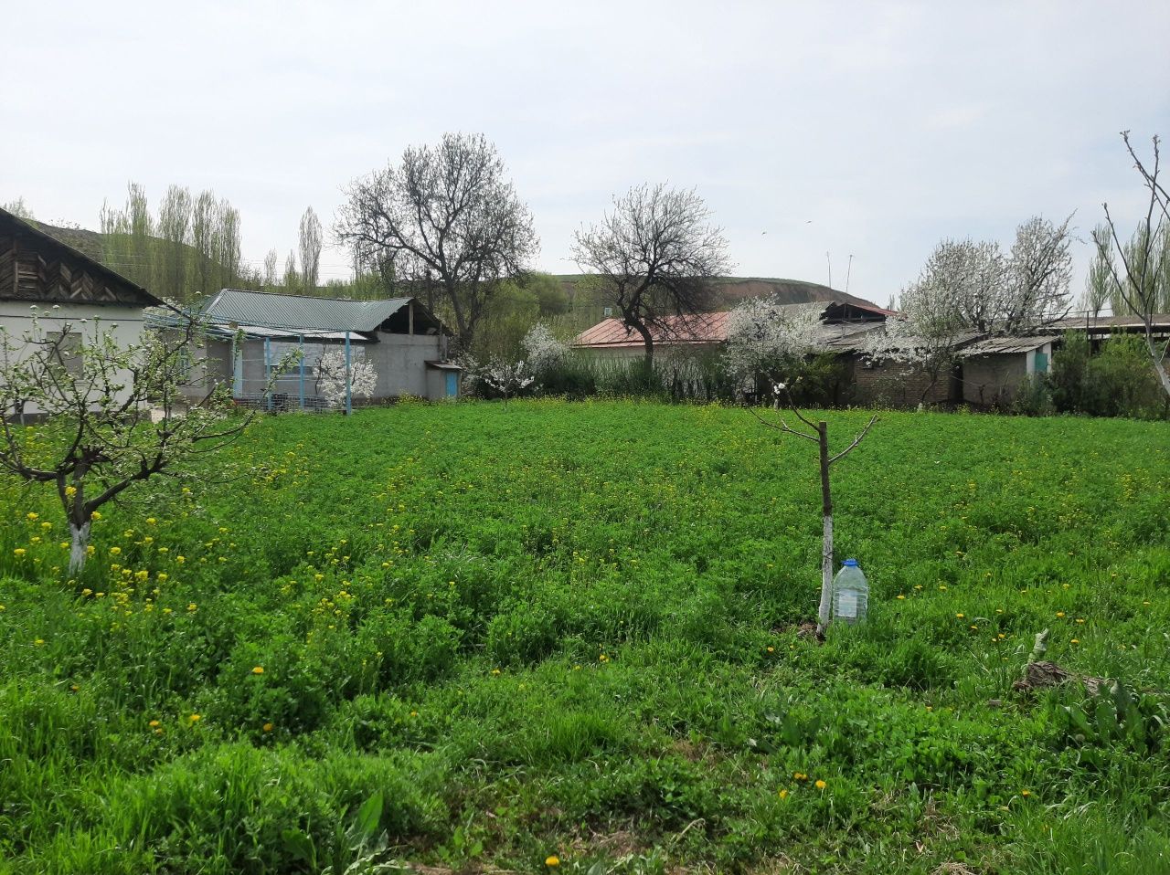 Участка сотилади   6 сотух дача қурушка қулай жой