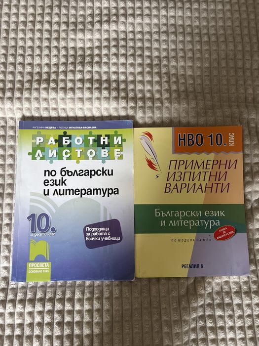 Тестове за НВО 10 клас БЕЛ