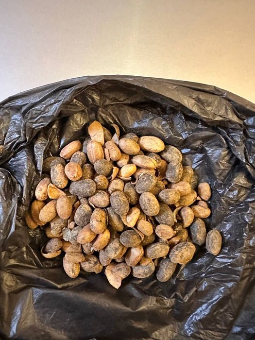 Misrdan keltirilgan dori.  Gijjalarga qarshi  judayam samarali