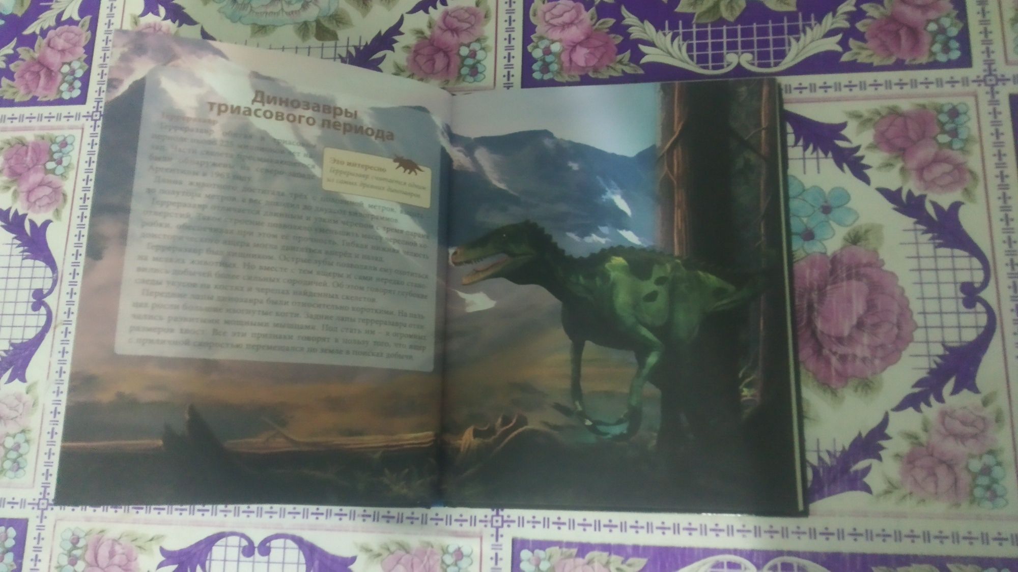 Продам интересную книгу про динозавров отдам недорого