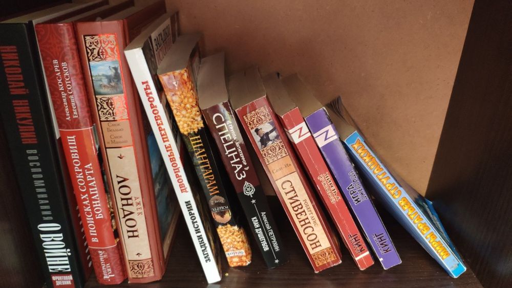 Речници и книги на руски език