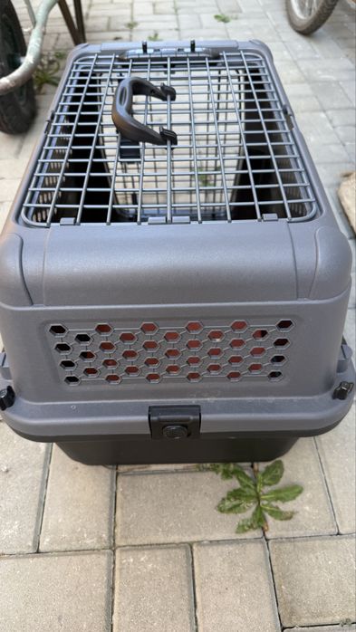 Cutie transport caini