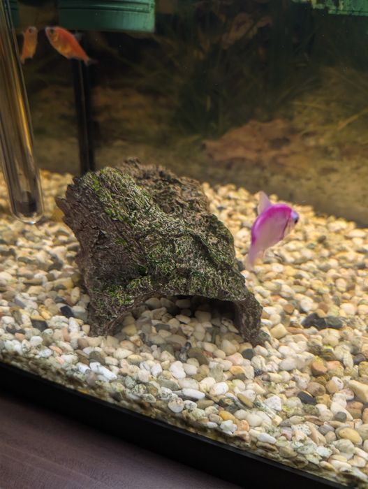 Acvariu 120 L complet echipat + pești