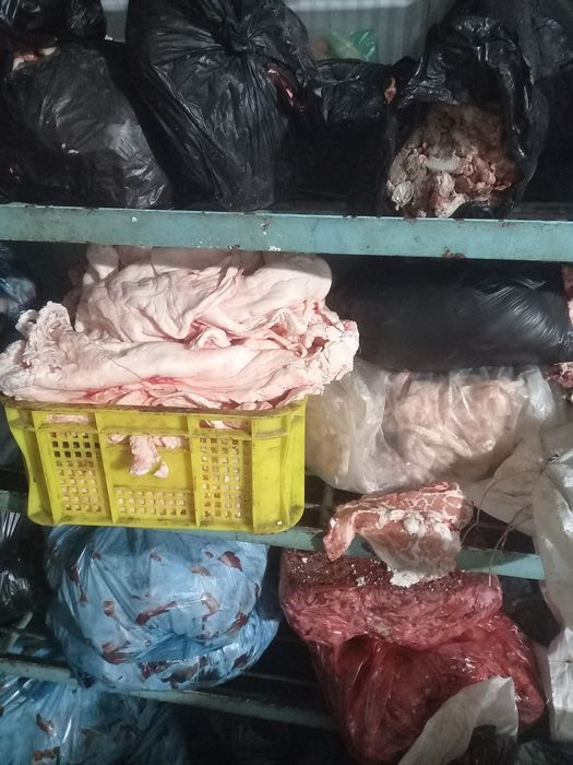 mol yoglari bor toza pokiza