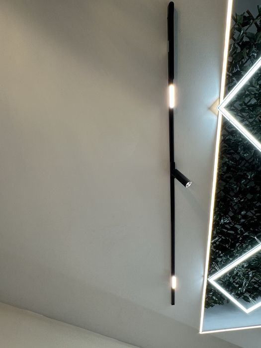 Sina magnetica, proiector