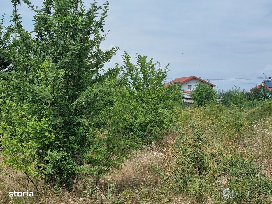 Vanzare Teren construibil Rezidential 3500mp