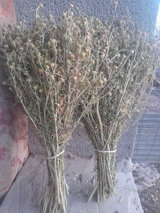 Адраспан продам в большом количестве