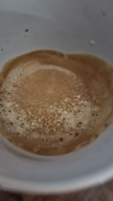 Кафемашина DeLonghi EC221.B