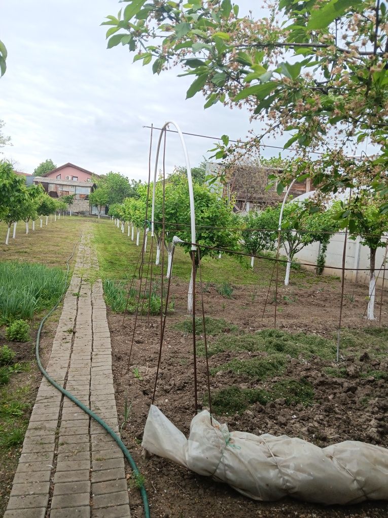 Vând casă Comuna Berceni