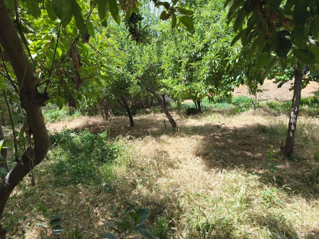 Продаётся участок в Кибрайском районе.